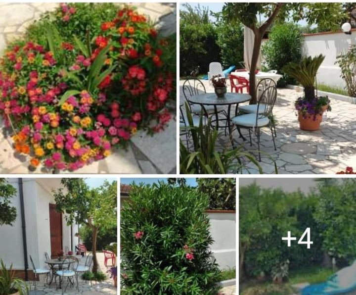 Villa Dafne Mare Fondi Sperlonga Luaran gambar